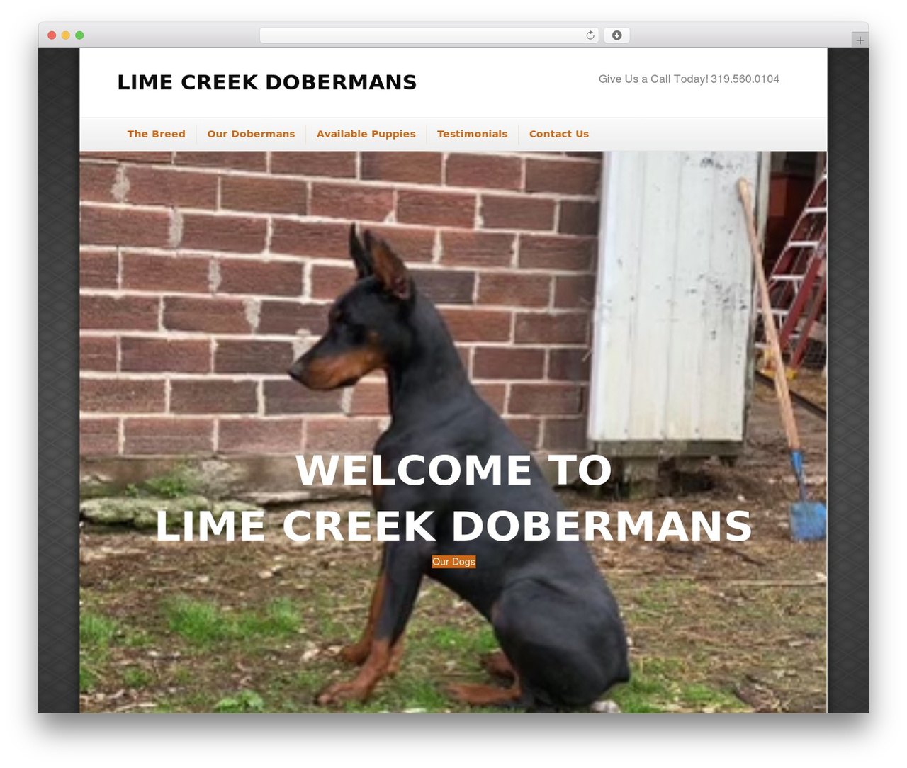 Beaver Builder Theme WordPress theme - limecreekdobermans.com Beaver Builder Theme WordPress theme - limecreekdobermans.com