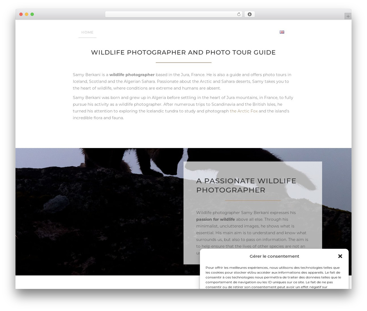 Creator WordPress theme - samyberkani.com