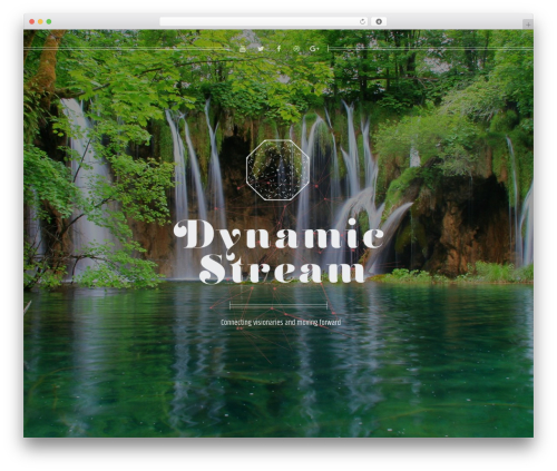 Rabbit theme WordPress - thedynamicstream.com