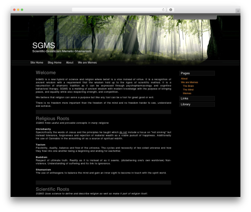 Theme WordPress sunrays - sgms.info Theme WordPress sunrays - sgms.info
