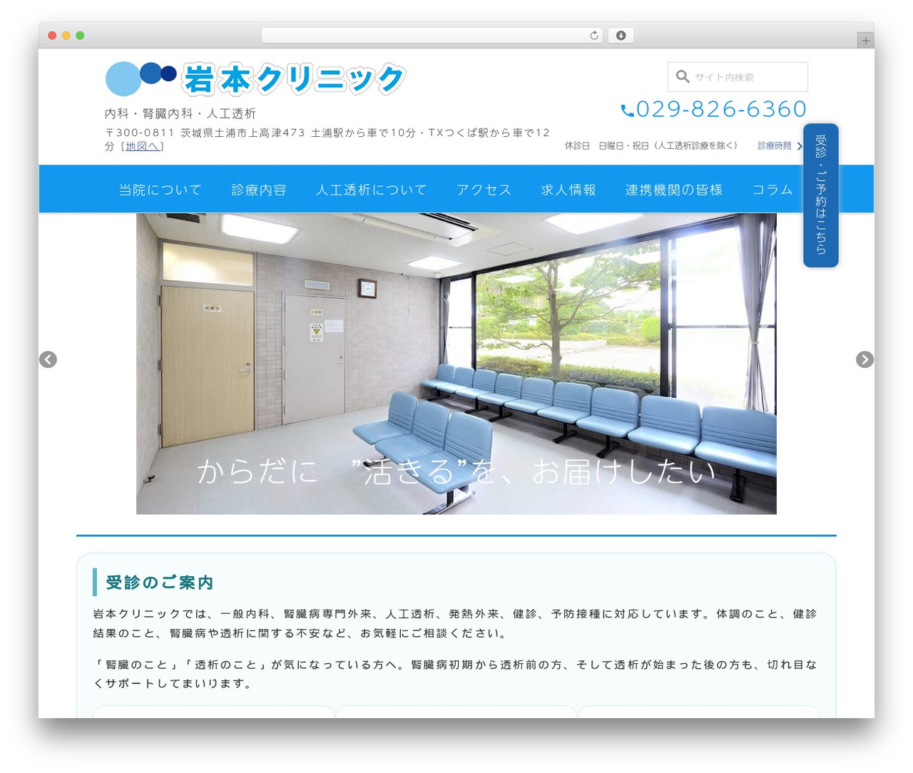 Theme WordPress theme - iwamoto-clinic.com