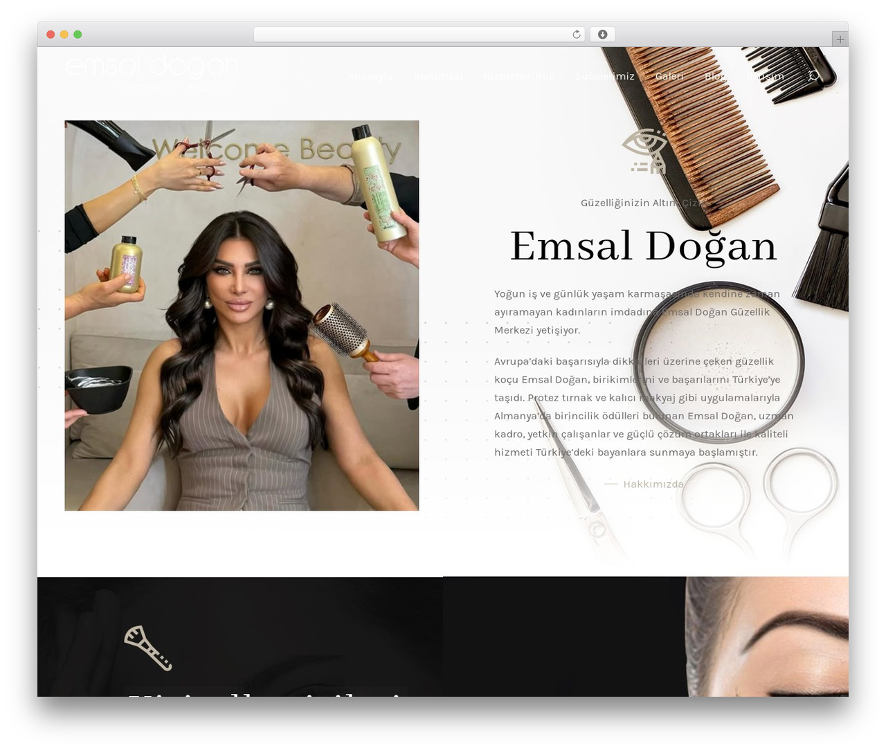 WordPress theme Kitring - emsaldogan.com