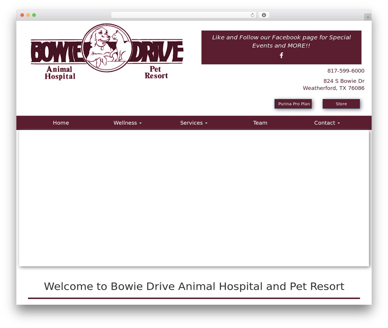 Bootstrap Basic free WordPress theme - rutherford.vet