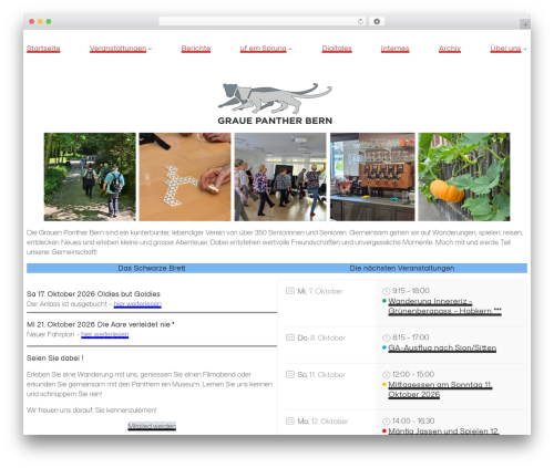 Shrinking logo sticky header WordPress plugin - grauepantherbern.ch