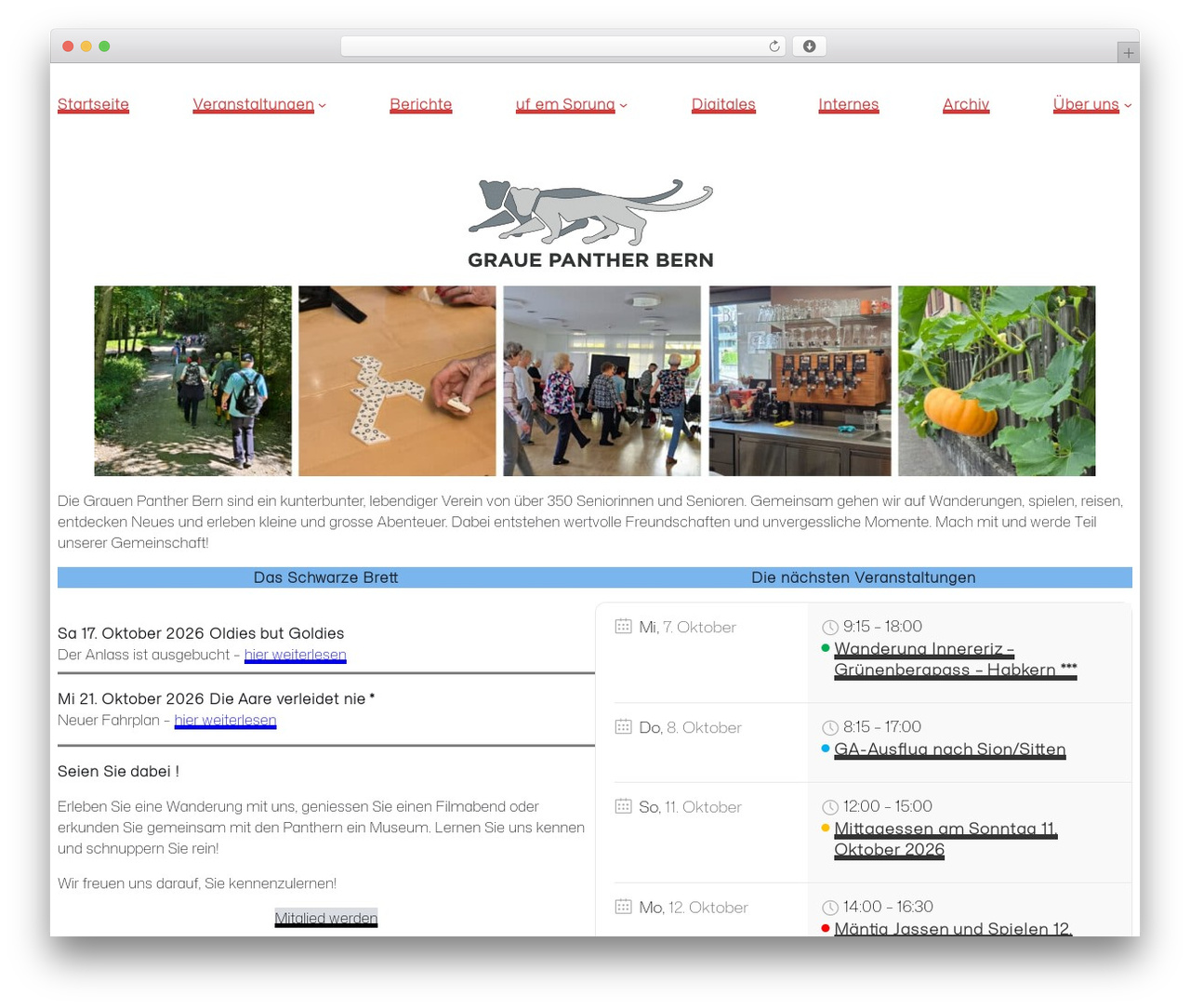 Theme WordPress GPB-Theme - grauepantherbern.ch