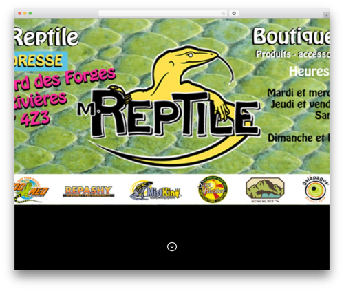 Baylie premium WordPress theme - monsieurreptile.com