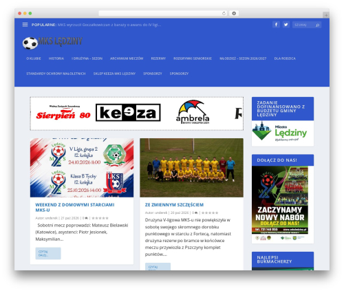 Wp table WordPress plugin - mksledziny.pl