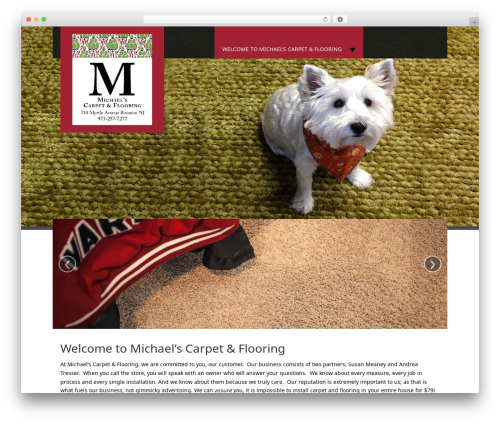 Fine Pro WordPress theme - michaelscarpet2.com Fine Pro WordPress theme - michaelscarpet2.com