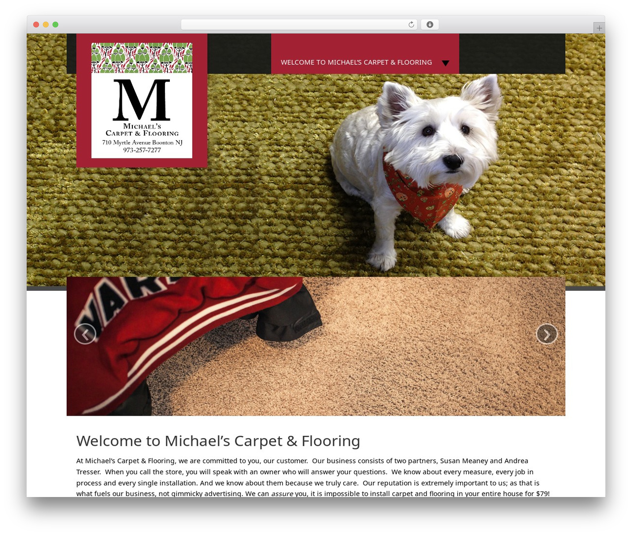 Fine Pro WordPress theme - michaelscarpet2.com