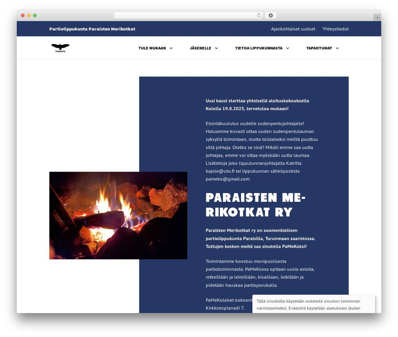 WordPress theme Into-Digital Components - pameko.fi