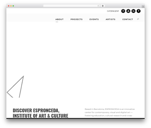 WordPress theme Kleanity - espronceda.net
