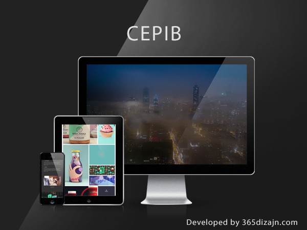 Cepib WordPress theme by 365dizajn