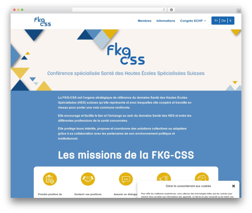 Divi WordPress theme - fkg-css.ch