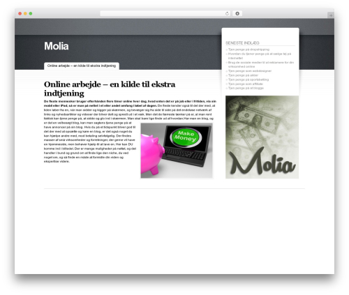 WordPress theme Fusion - molia.dk
