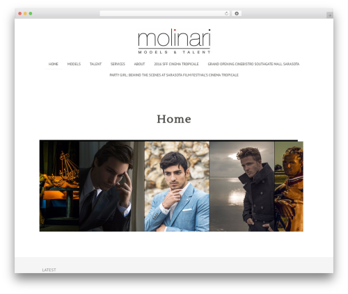 Image horizontal reel scroll slideshow (image-horizontal-reel-scroll-slideshow) free WordPress plugin - molinarimodels.com