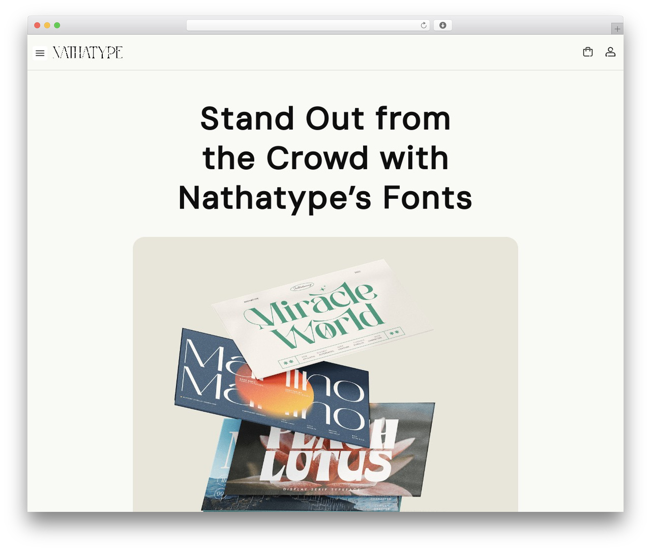 WP Typeface WordPress theme - nathatype.com