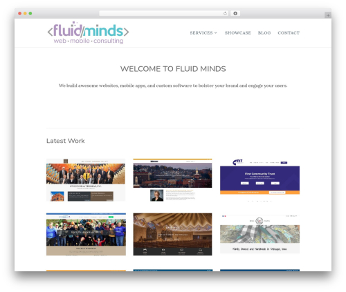 Divi company WordPress theme - fluidmindsconsulting.com