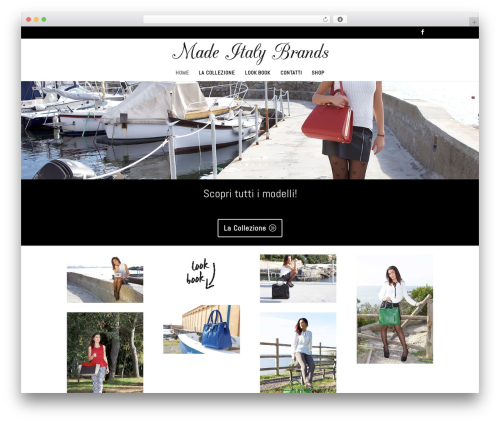 Wordpress social stream WordPress plugin - madeitalybrands.it