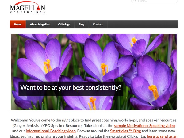 Ginger Jenks Magellan Function Theme WP theme