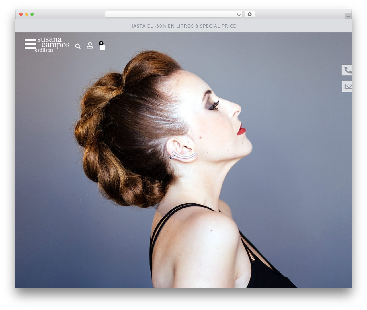 Hello Elementor WordPress theme - susanacampos.es
