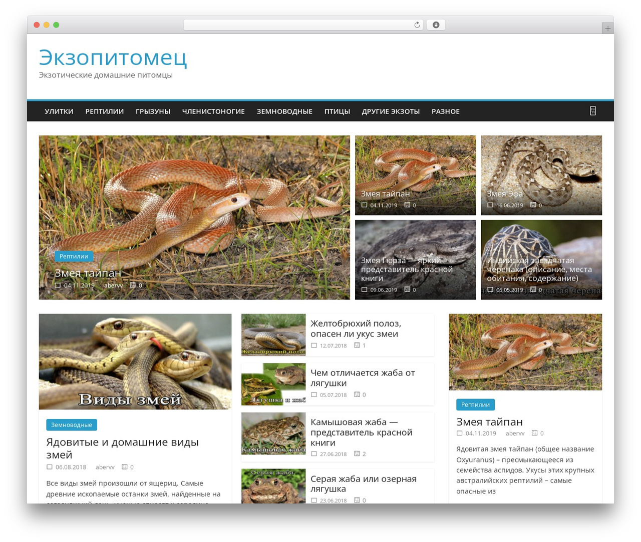 Theme WordPress ColorMag - ekzopit.ru Theme WordPress ColorMag - ekzopit.ru