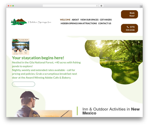 Pws core WordPress plugin - thehiddensprings.com