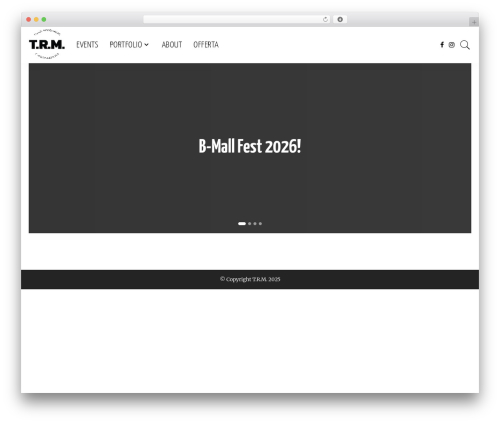 TRM WordPress theme - trm.in.ua