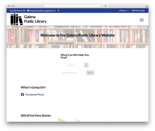 WordPress theme Divi - galenapubliclibrary.org