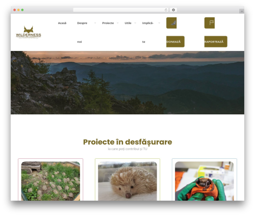 WordPress theme Lifeline2 - wildernessrc.ro