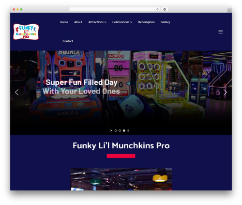 WordPress theme Playrex - funkylilmunchkinspro.com
