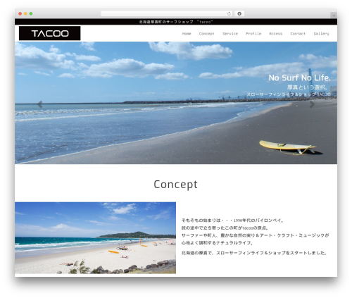 Aplan WP theme - tacoo-surf.com