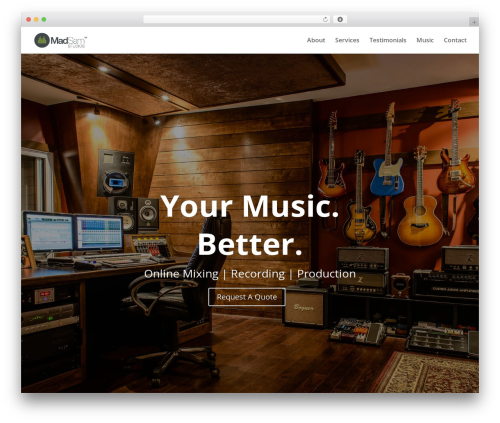 Divi WordPress website theme - madsamstudios.com