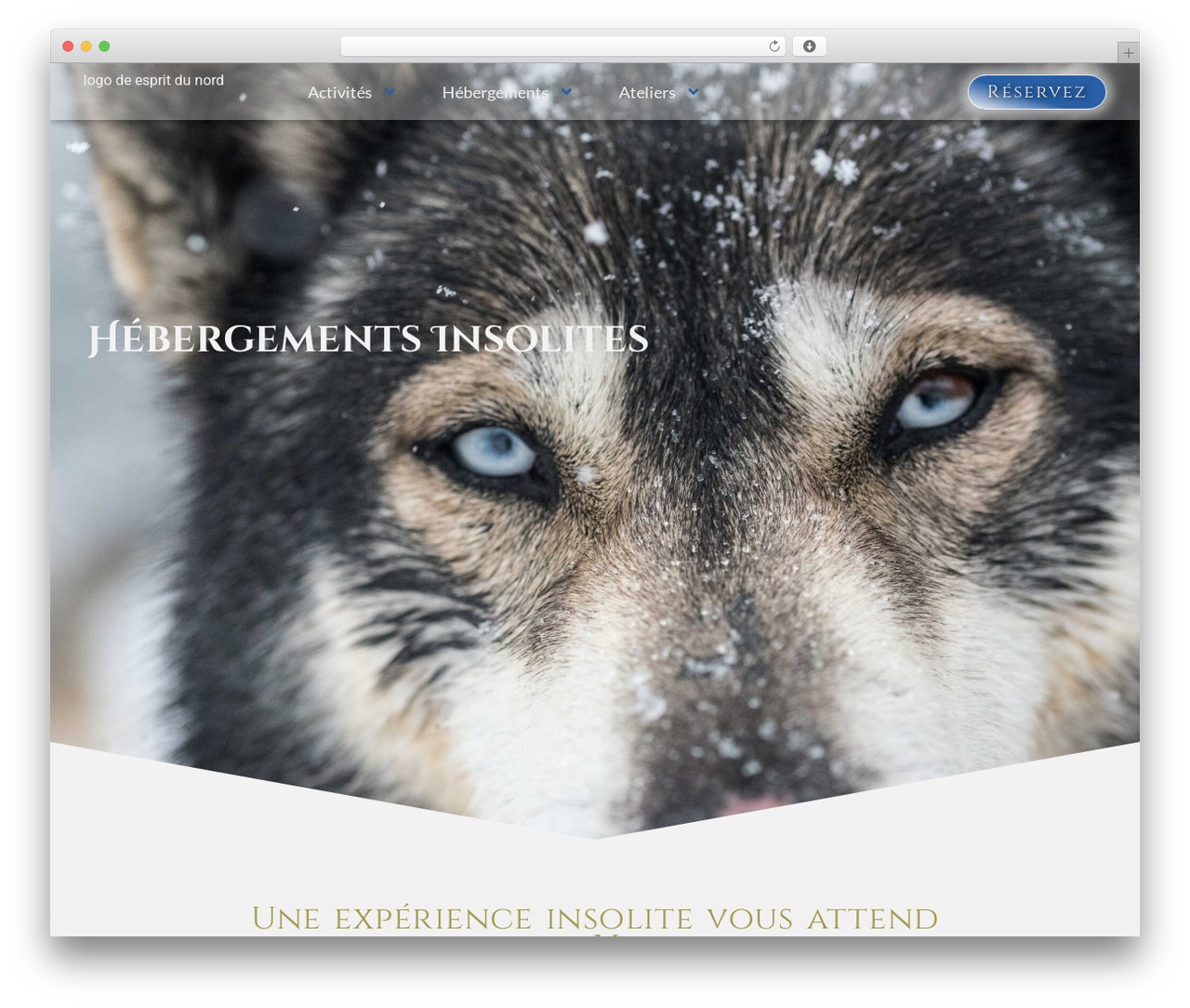 Hello Elementor WordPress theme - esprit-du-nord.com Hello Elementor WordPress theme - esprit-du-nord.com