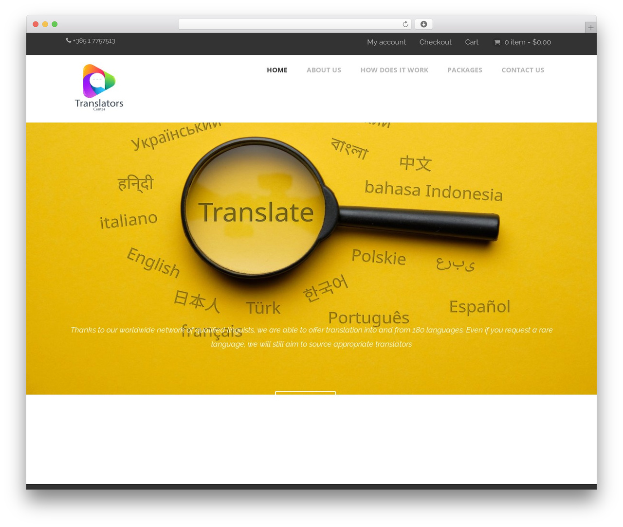 Optimizer PRO top WordPress theme - translatorscenter.com