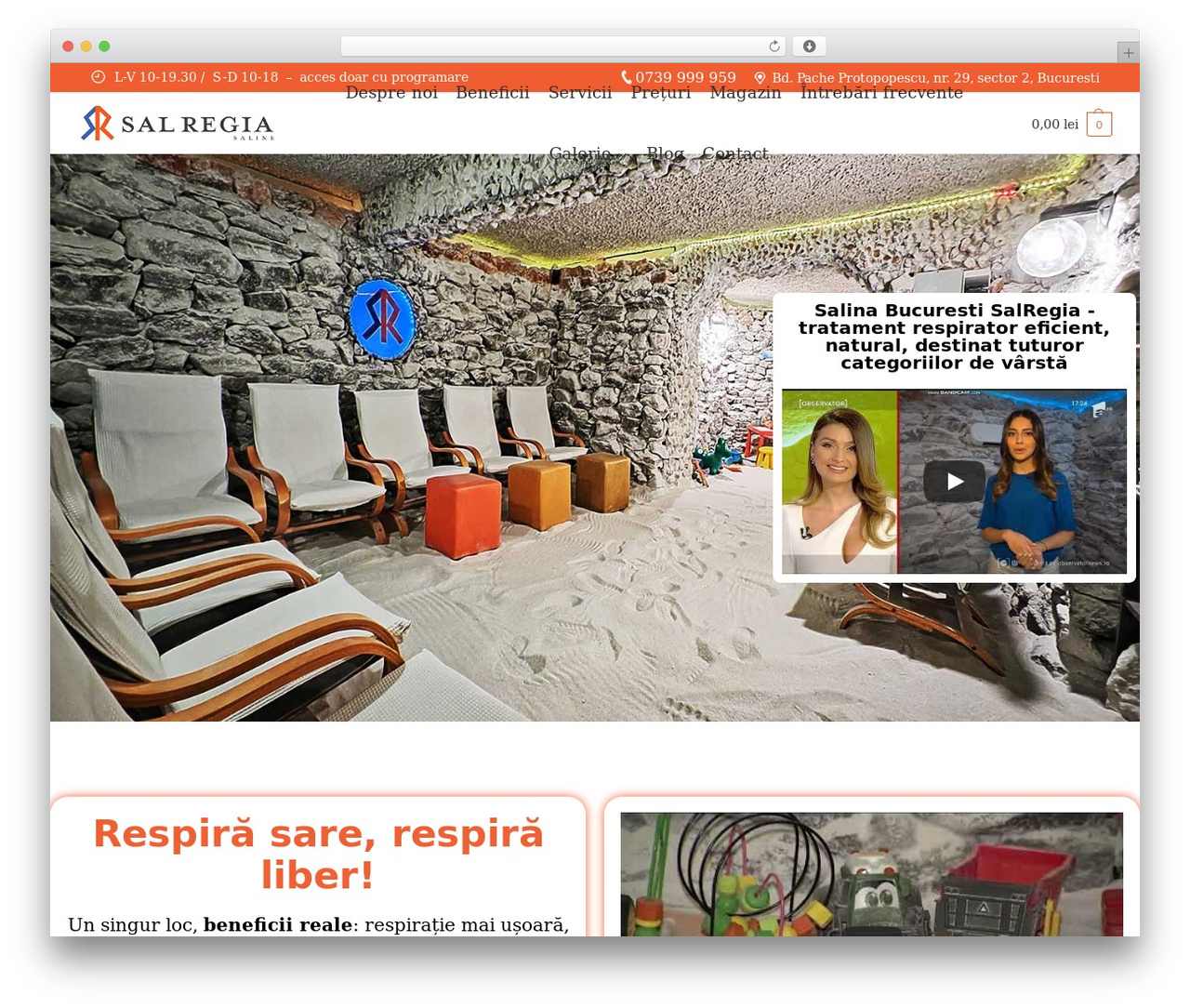 Shoptimizer WordPress ecommerce theme - salregia.ro