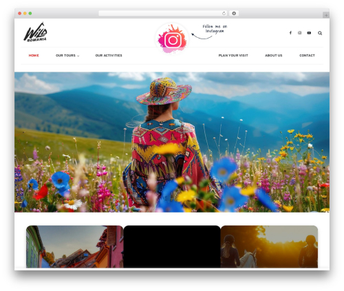 Themestek vihan extras WordPress plugin - wildromania.ro