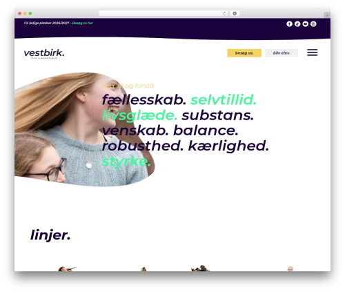 Best WordPress theme Divi - vmse.dk