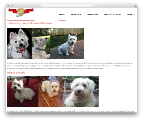 Seamless Donations: A Platform for Global Fundraising and Rebuilding using Stripe and PayPal (seamless-donations) free WordPress plugin - westierescueofmissouri.com Seamless Donations: A Platform for Global Fundraising and Rebuilding using Stripe and PayPal (seamless-donations) free WordPress plugin - westierescueofmissouri.com