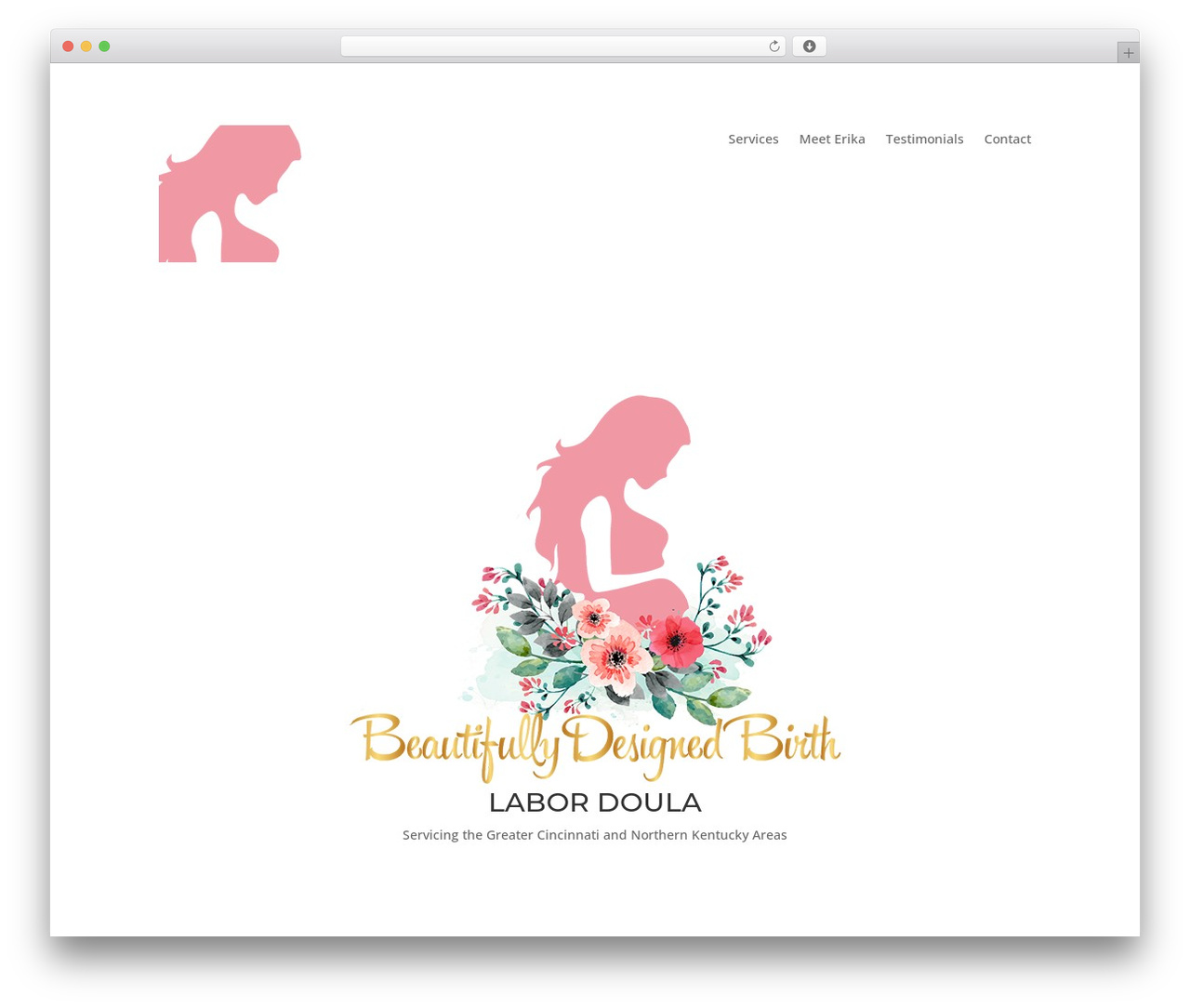 Divi WordPress theme - beautifullydesignedbirth.com Divi WordPress theme - beautifullydesignedbirth.com