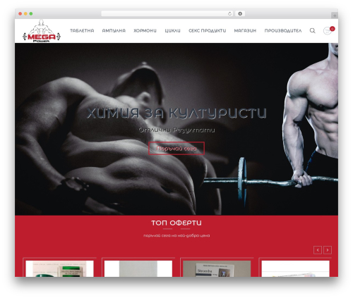 Flash WordPress theme - megasila-bg.com