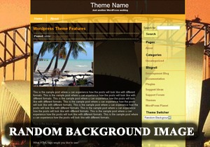 Random Background premium WordPress theme Random Background premium WordPress theme