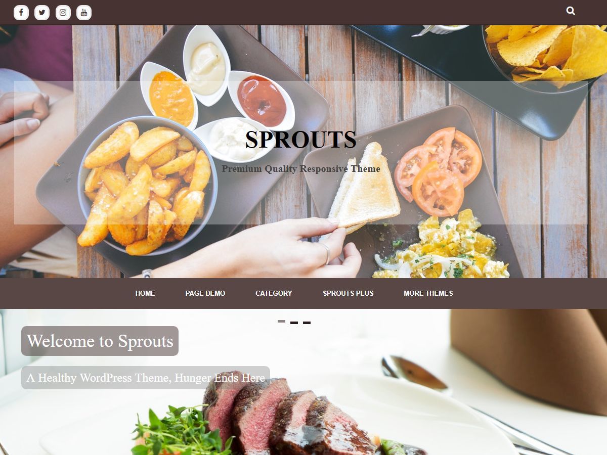 Sprouts best free WordPress theme