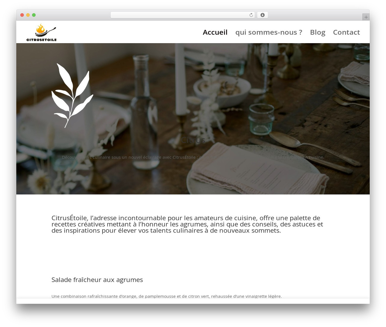 Theme WordPress Divi - citrusetoile.com Theme WordPress Divi - citrusetoile.com