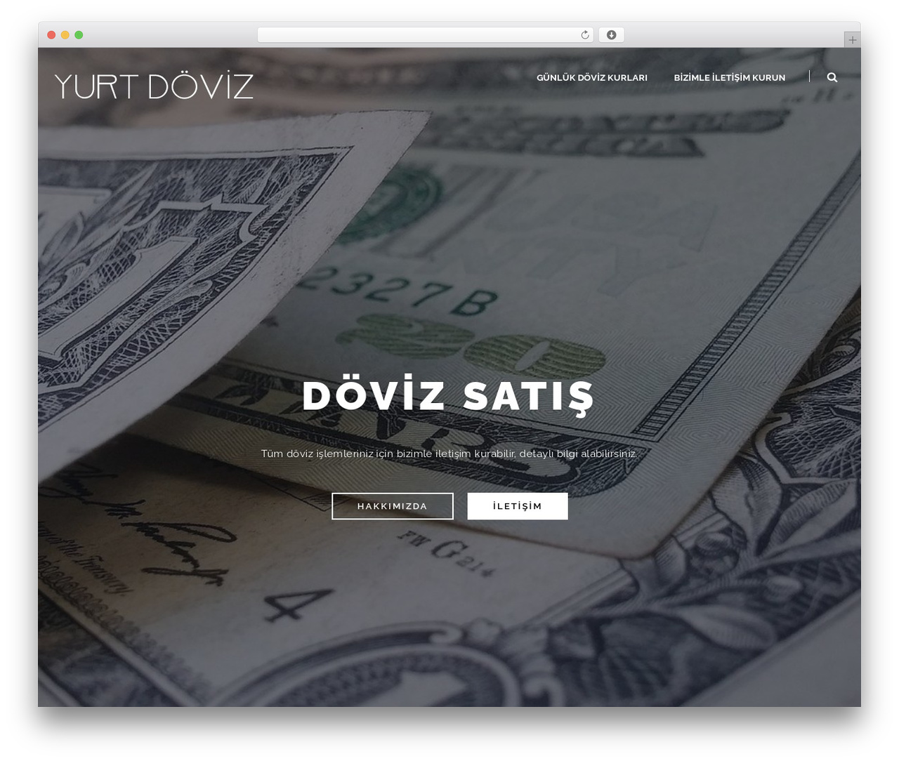 Theme WordPress Universal WP - yurtdoviz.com Theme WordPress Universal WP - yurtdoviz.com