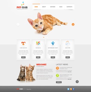 theme1619 WP theme