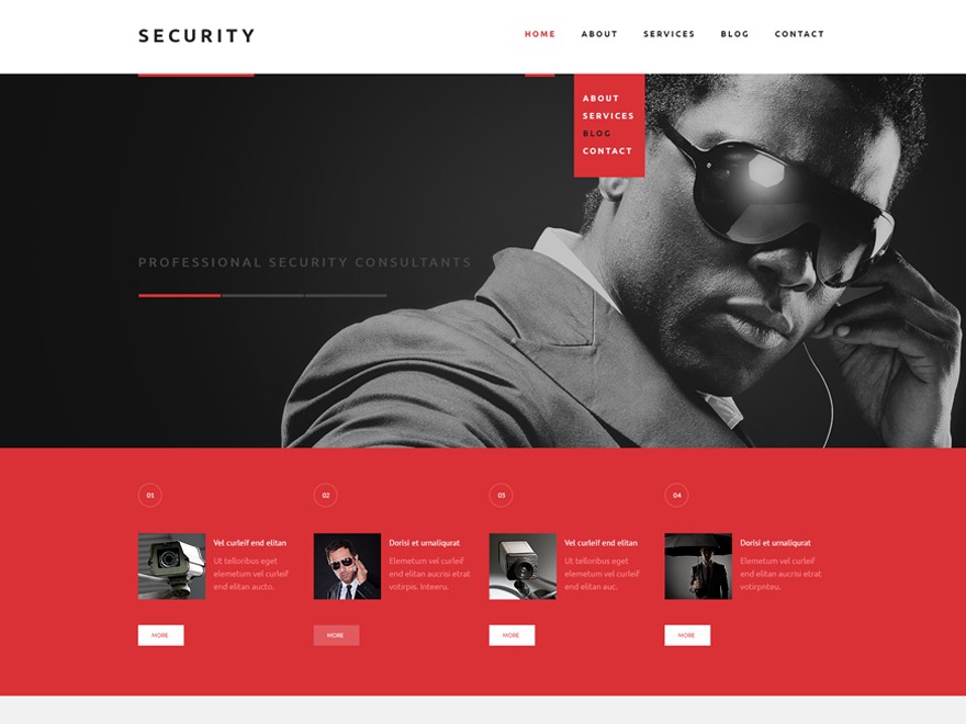 theme53002 top WordPress theme