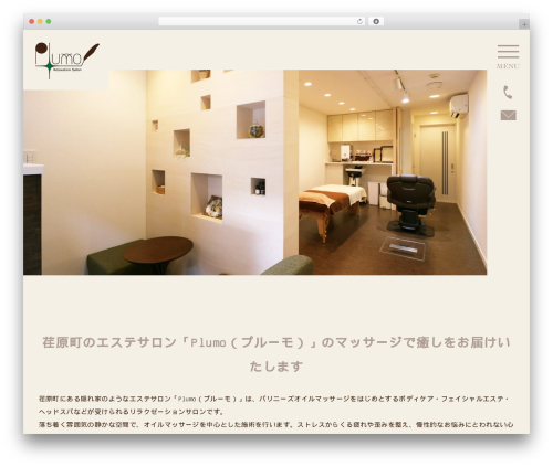 Themify Basic WordPress website theme - plumo.site