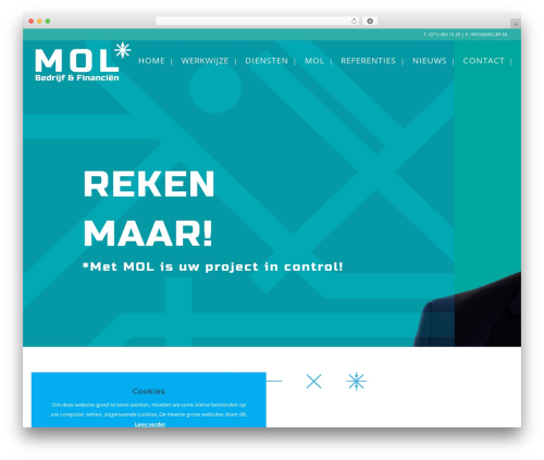 Total best WordPress theme - molbf.nl
