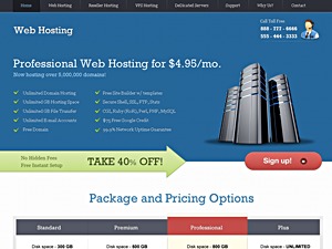 Web Hosting WordPress theme by Templatic