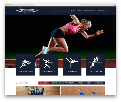 Divi filterable blog module WordPress plugin - tvoberhaugstett.de